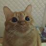 Bibi
